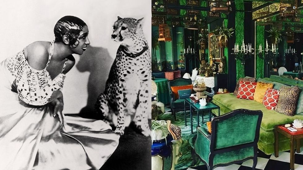 Leopard vs. Cheetah Print Know the Difference for Decorating The Inside